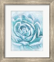 Framed 'Aqua Succulent II' border=