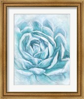 Framed 'Aqua Succulent II' border=