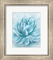 Framed 'Aqua Succulent III' border=