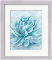 Framed 'Aqua Succulent III' border=