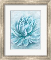 Framed 'Aqua Succulent III' border=