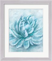 Framed 'Aqua Succulent III' border=