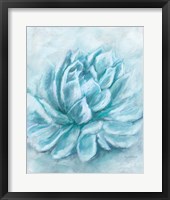 Aqua Succulent III Framed Print