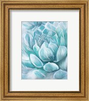 Framed 'Aqua Succulent IV' border=