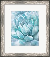 Framed 'Aqua Succulent IV' border=