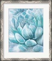 Framed 'Aqua Succulent IV' border=