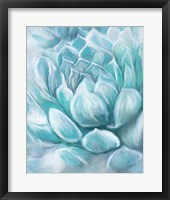 Framed 'Aqua Succulent IV' border=