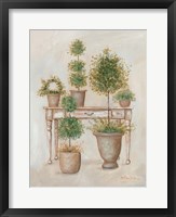 Framed Potting Bench & Topiaries II