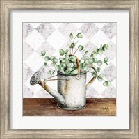 Framed Eucalyptus White Watering Can