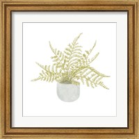 Framed 'Potted Fern I' border=