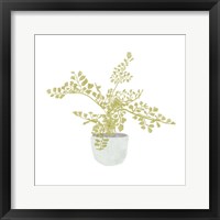 Framed 'Potted Fern III' border=