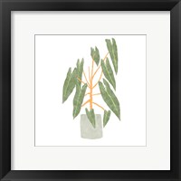 Framed 'Philodendron Billietiae III' border=