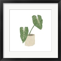 Philodendron Gloriosum I Framed Print