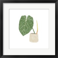 Framed Philodendron Gloriosum V