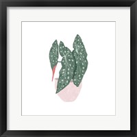 Framed Polka Dot Begonia II