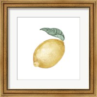 Framed 'Citrus Limon I' border=