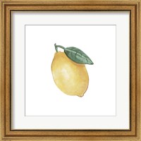 Framed 'Citrus Limon II' border=