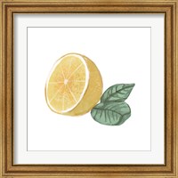 Framed 'Citrus Limon IV' border=