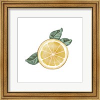 Framed 'Citrus Limon V' border=