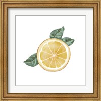 Framed 'Citrus Limon V' border=