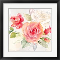 Framed 'Garden Roses II' border=