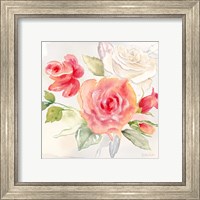 Framed 'Garden Roses II' border=