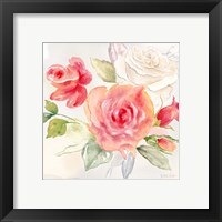 Framed 'Garden Roses II' border=