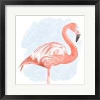 Tropical Flamingo II Framed Print