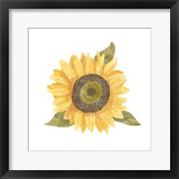 Single Sunflower I Framed Print