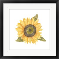 Framed 'Single Sunflower I' border=