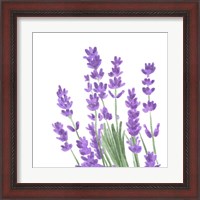 Framed 'Wildflower Group II' border=