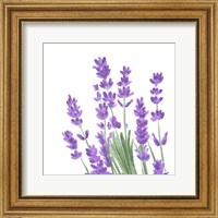 Framed 'Wildflower Group II' border=