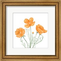 Framed 'Wildflower Group III' border=