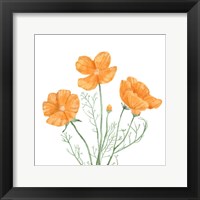 Wildflower Group III Framed Print