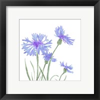 Framed 'Wildflower Group IV' border=