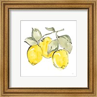 Framed 'Lemons IV' border=