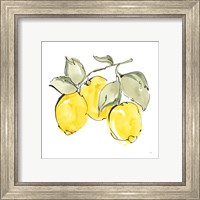 Framed 'Lemons IV' border=