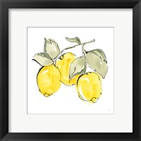 Framed 'Lemons IV' border=