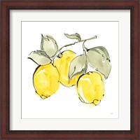 Framed 'Lemons IV' border=