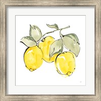 Framed 'Lemons IV' border=