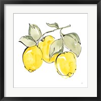 Lemons IV Framed Print