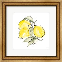 Framed 'Lemons III' border=