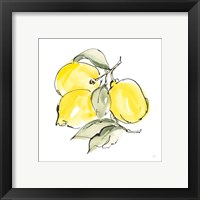 Framed 'Lemons III' border=