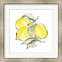 Framed 'Lemons III' border=