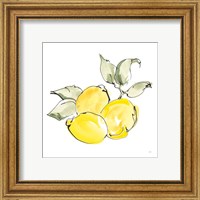 Framed 'Lemons II' border=