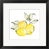 Framed 'Lemons II' border=