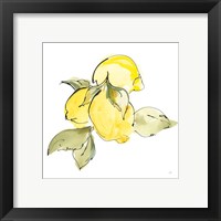 Framed 'Lemons I' border=