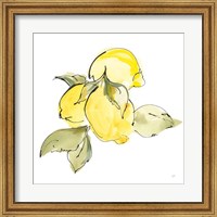 Framed 'Lemons I' border=