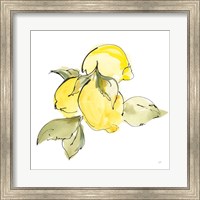 Framed 'Lemons I' border=