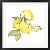 Framed 'Lemons I' border=